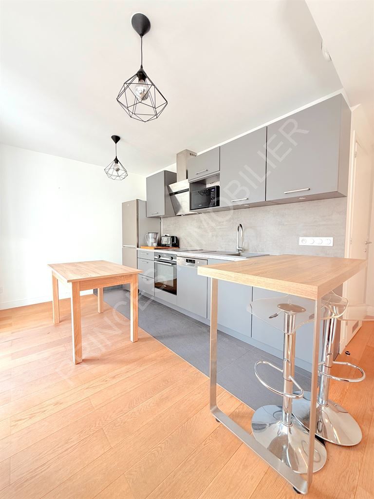 appartement 2 Pièces en location sur BOULOGNE BILLANCOURT (92100)