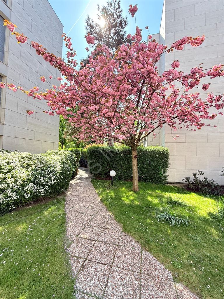 appartement 1 pièce en location sur BOULOGNE BILLANCOURT (92100)