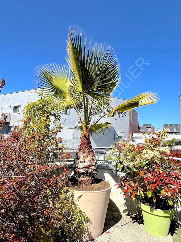duplex 6 Pièces en vente sur BOULOGNE BILLANCOURT (92100)